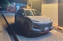 جيتور داشينج